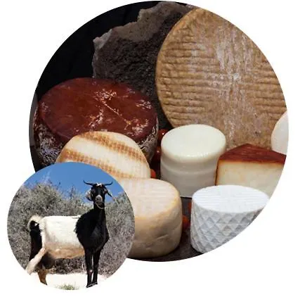 Casa Lily Διαμέρισμα Antigua (Fuerteventura)