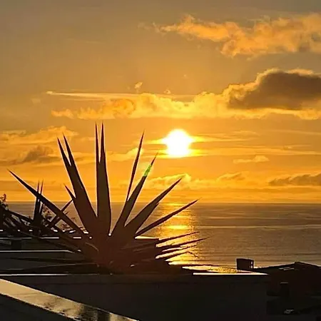 Casa Lily Appartamento